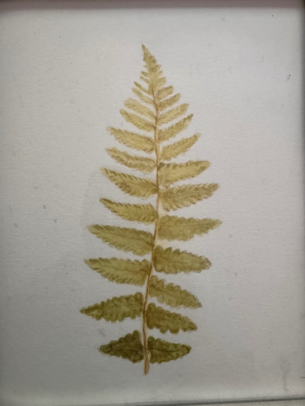 Original watercolor